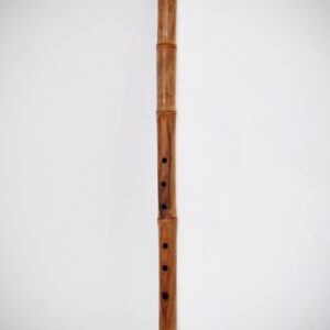 Bedreddin's Ney Ronin