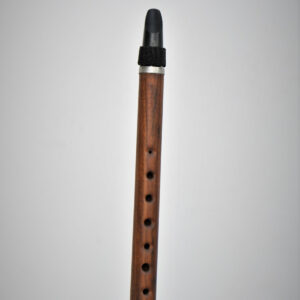 Old oak tree Duclar in G#